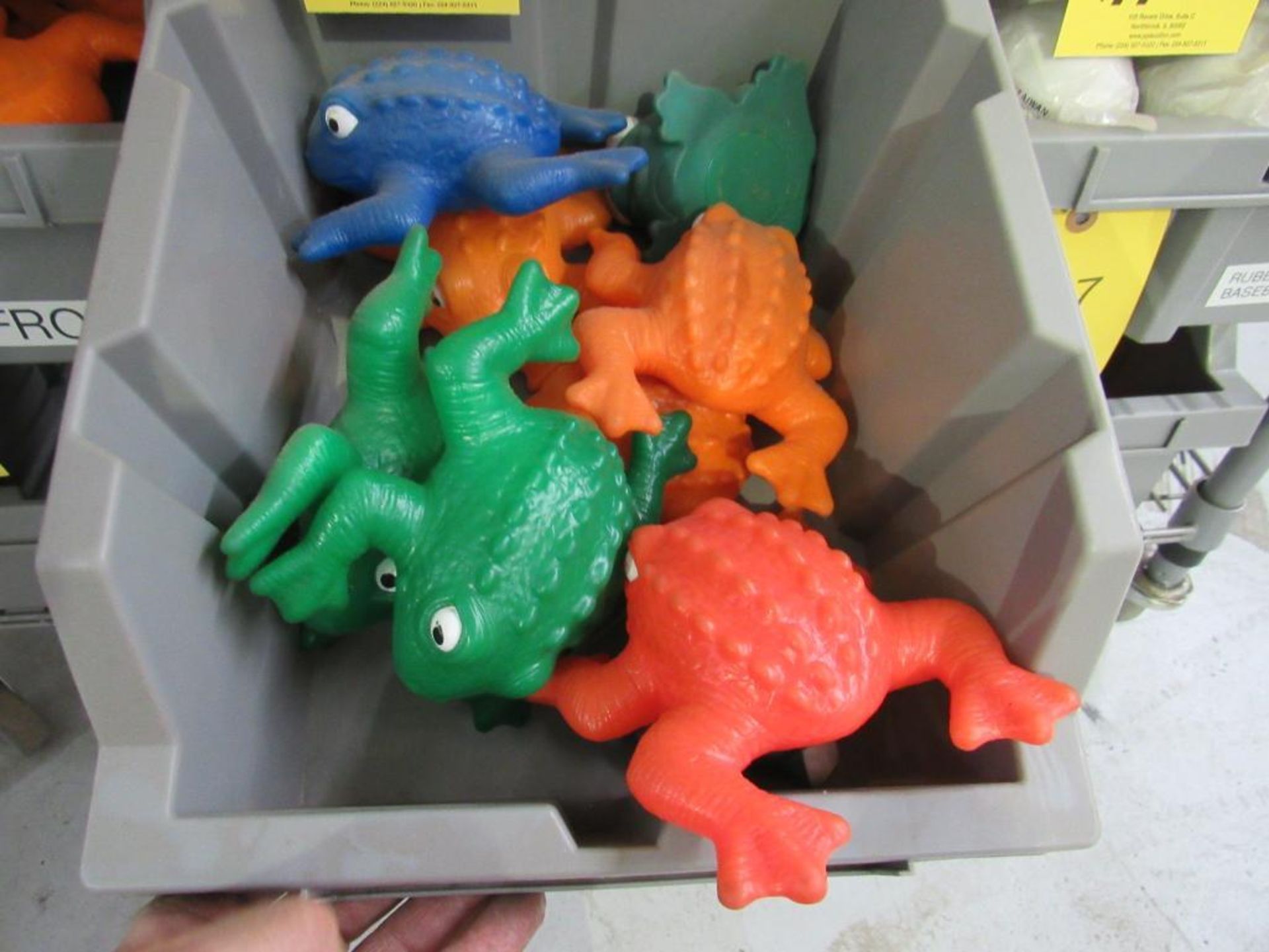 LOT: Frogs (Contents Only)