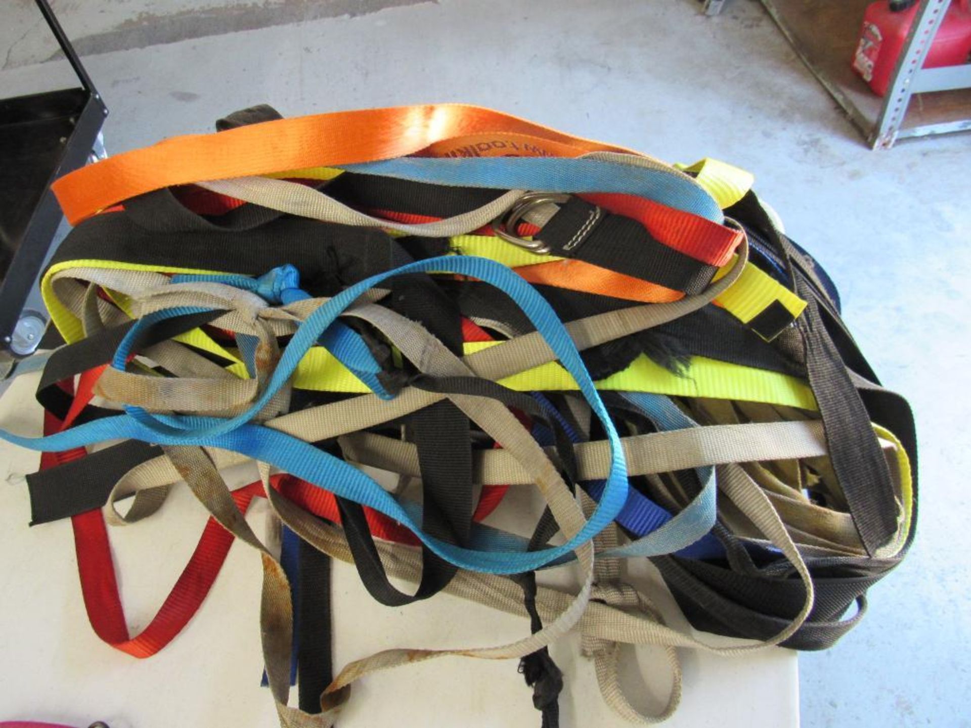 LOT: Large Quantity of Bungee Cords and Straps - Image 5 of 6