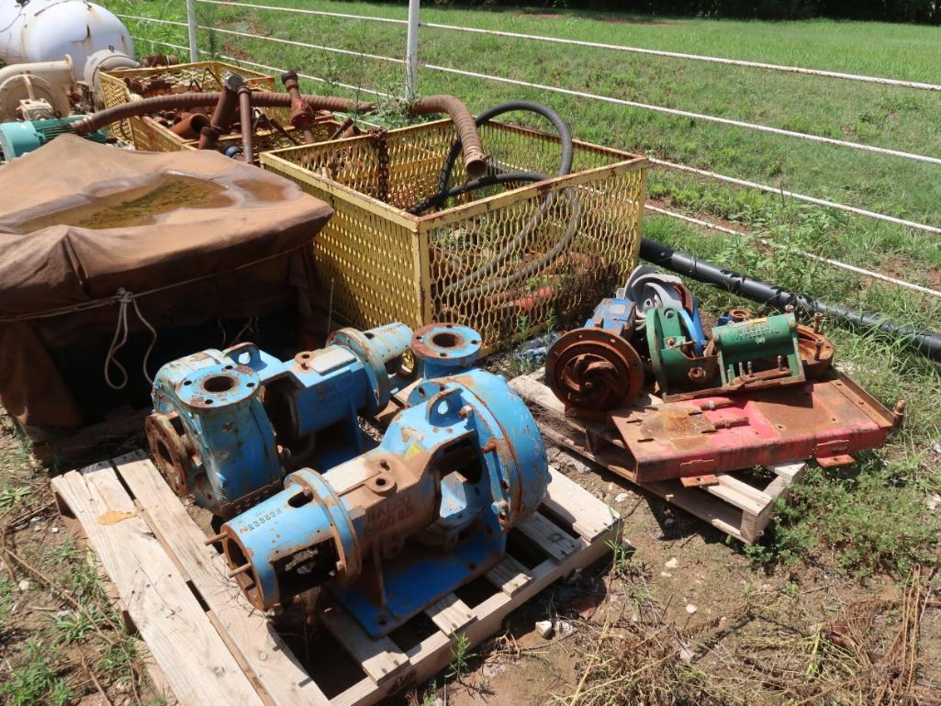 LOT: Assorted Pumps & Motors - Image 2 of 2