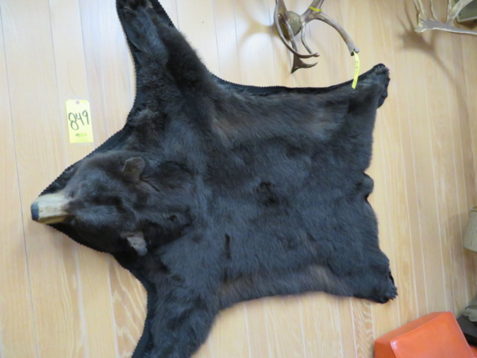 BLACK BEAR SKIN W/HEAD