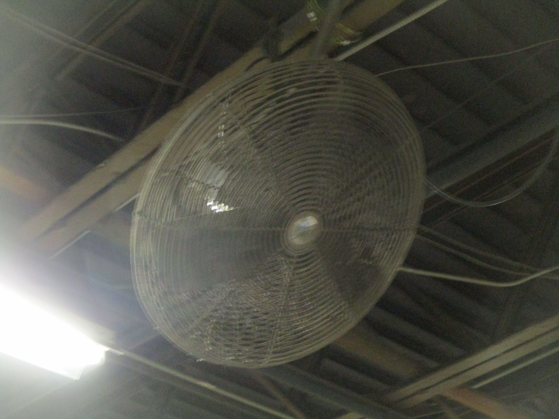 (5) Ceiling or Column Mounted Fans