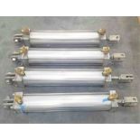 Lot of 5 S/S Air cylinders
