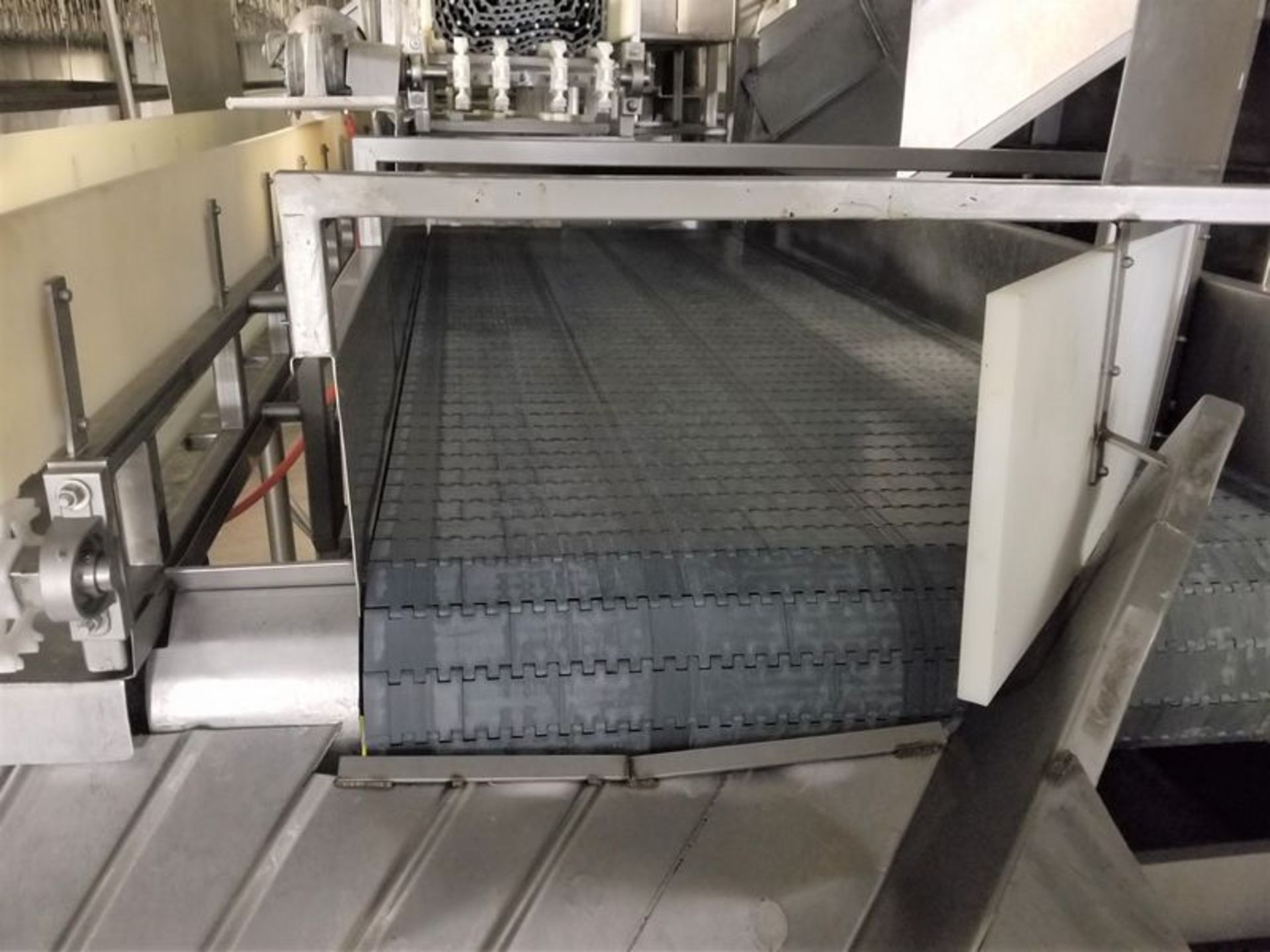 Chiller Discharge Conveyor