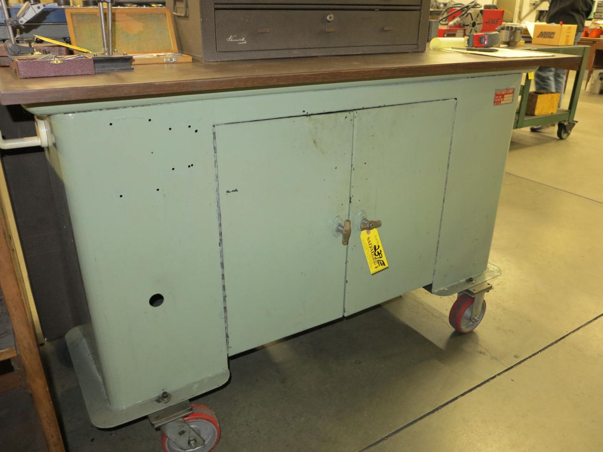 14" x 54" x 38" H Steel 2 Door Cabinet on Casters