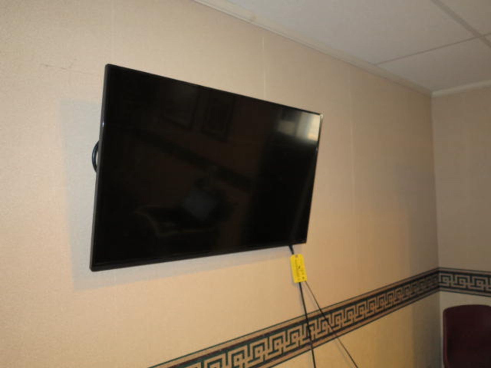 Visio 44'' Flat Screen Monitor/TV