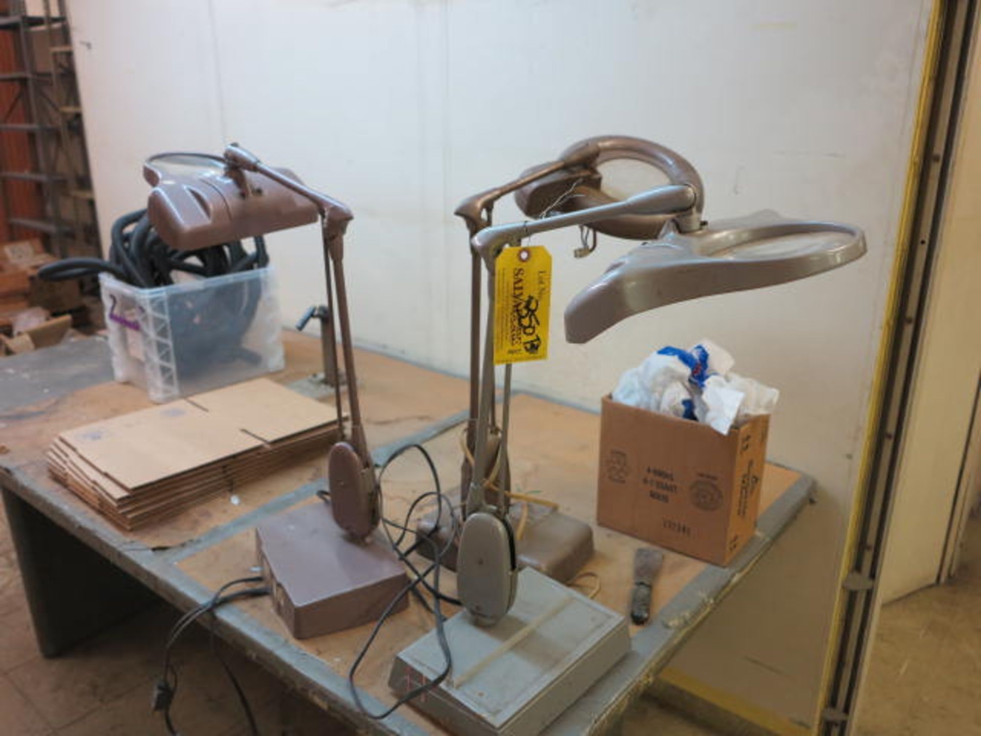 Lot (3) Magnifying Lamps