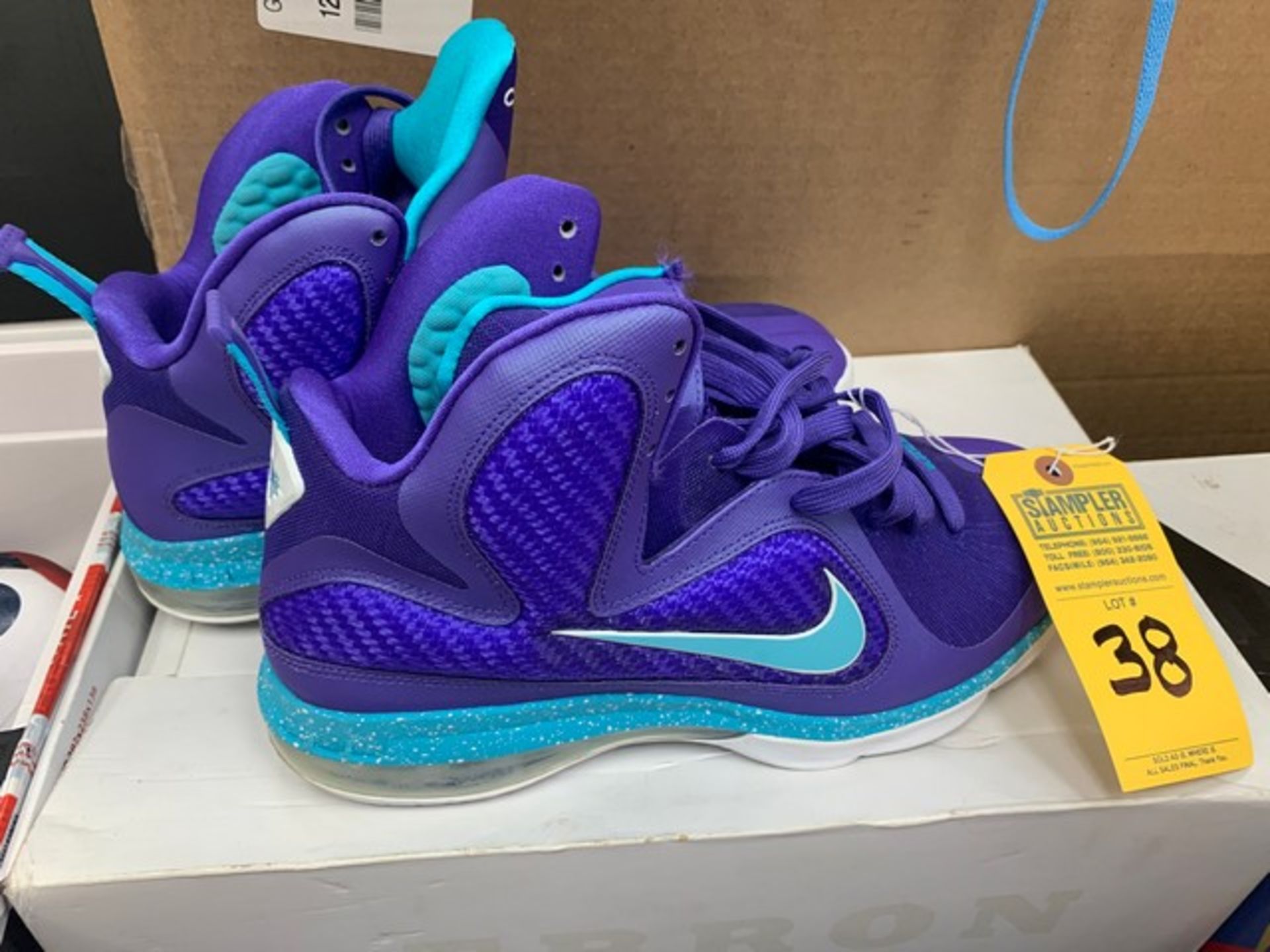 PAIR NIKE LEBRON JAMES CHARLOTTE HORNETS EDITION - MENS / SIZE 10