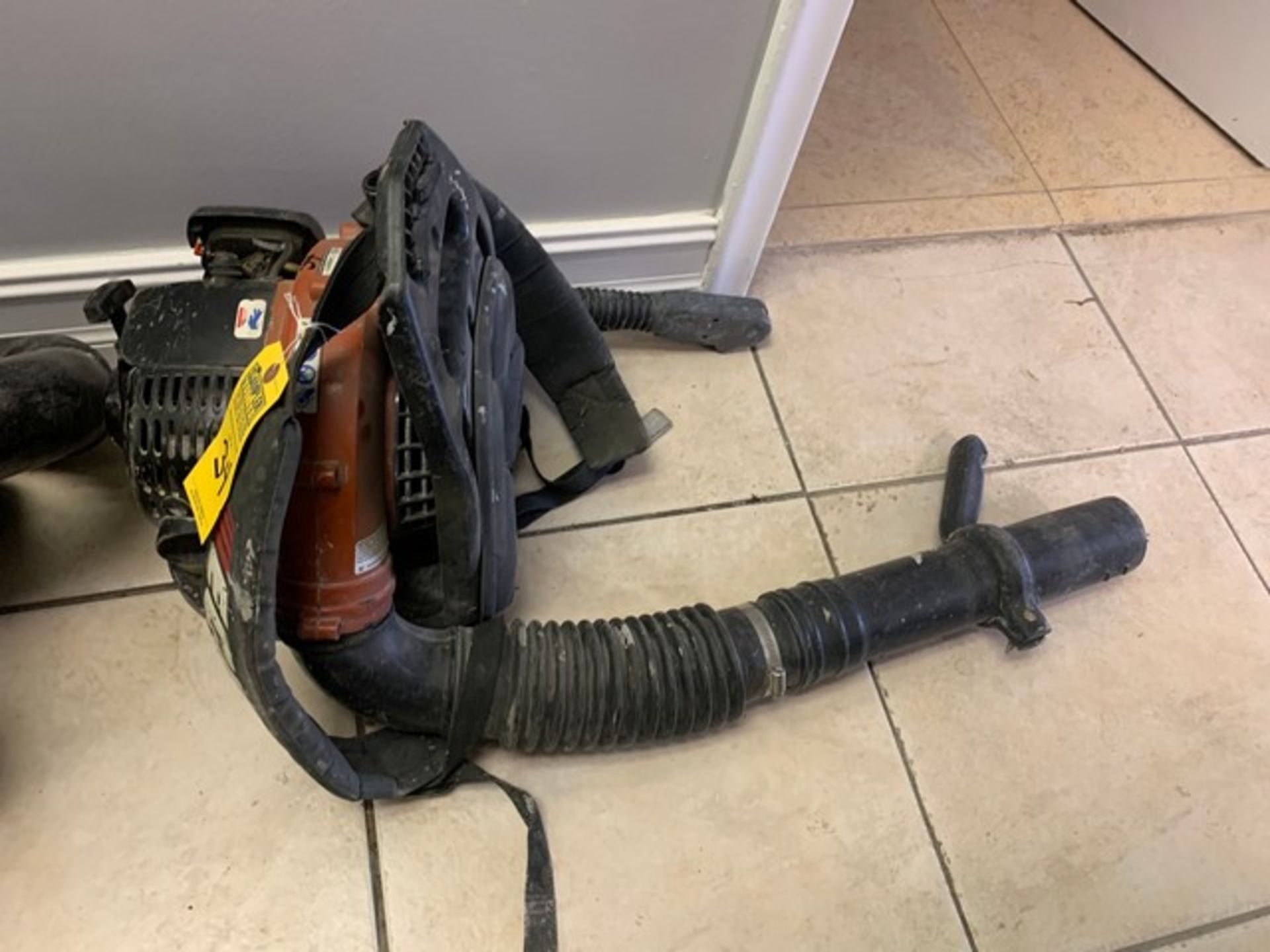 ECHO BACKPACK BLOWER