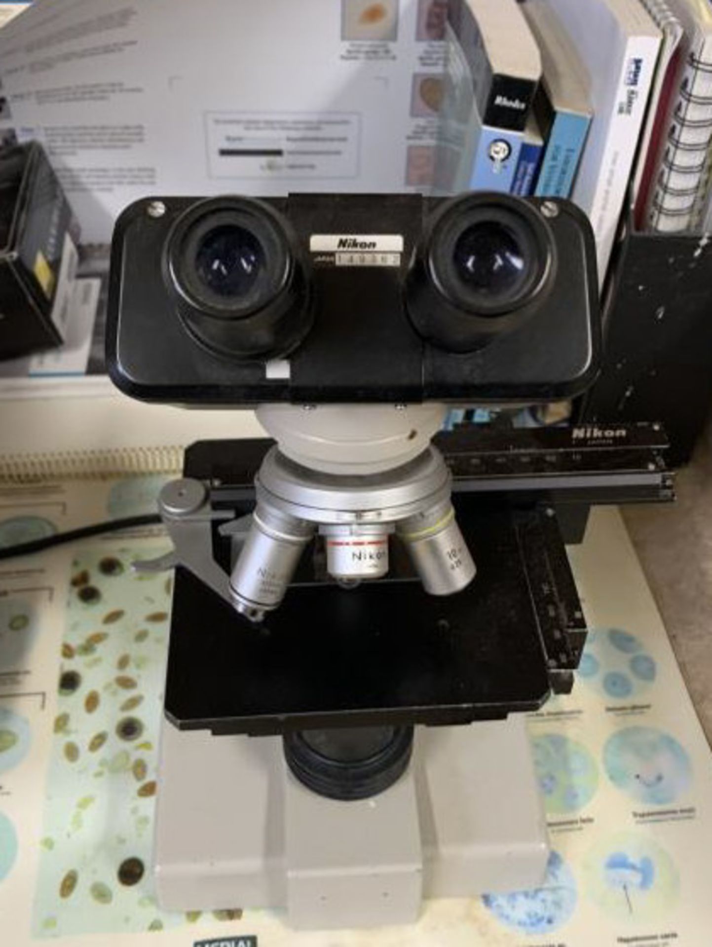 Nikon Binocular Microscope