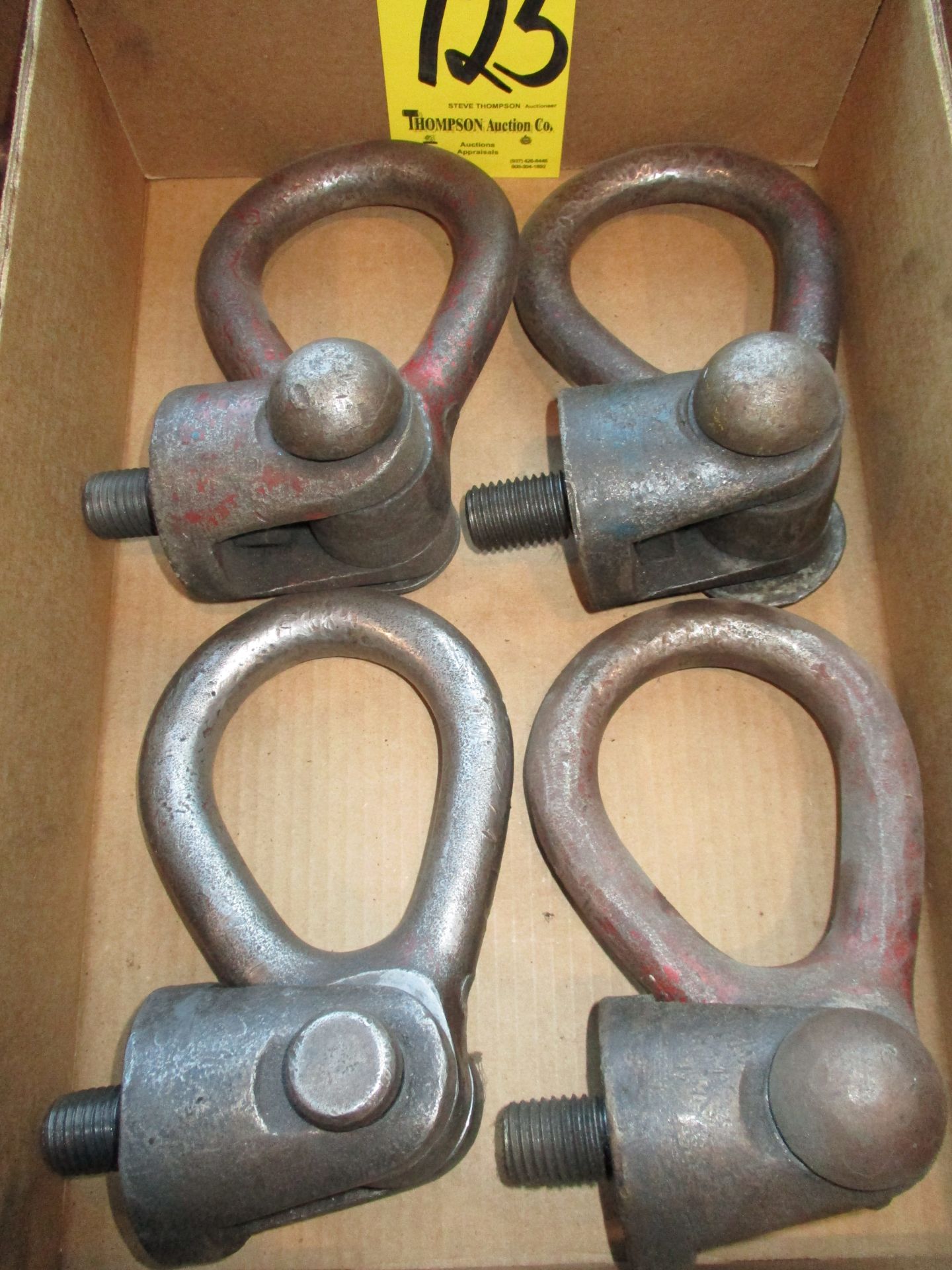 (4) Swivel Eye Bolts