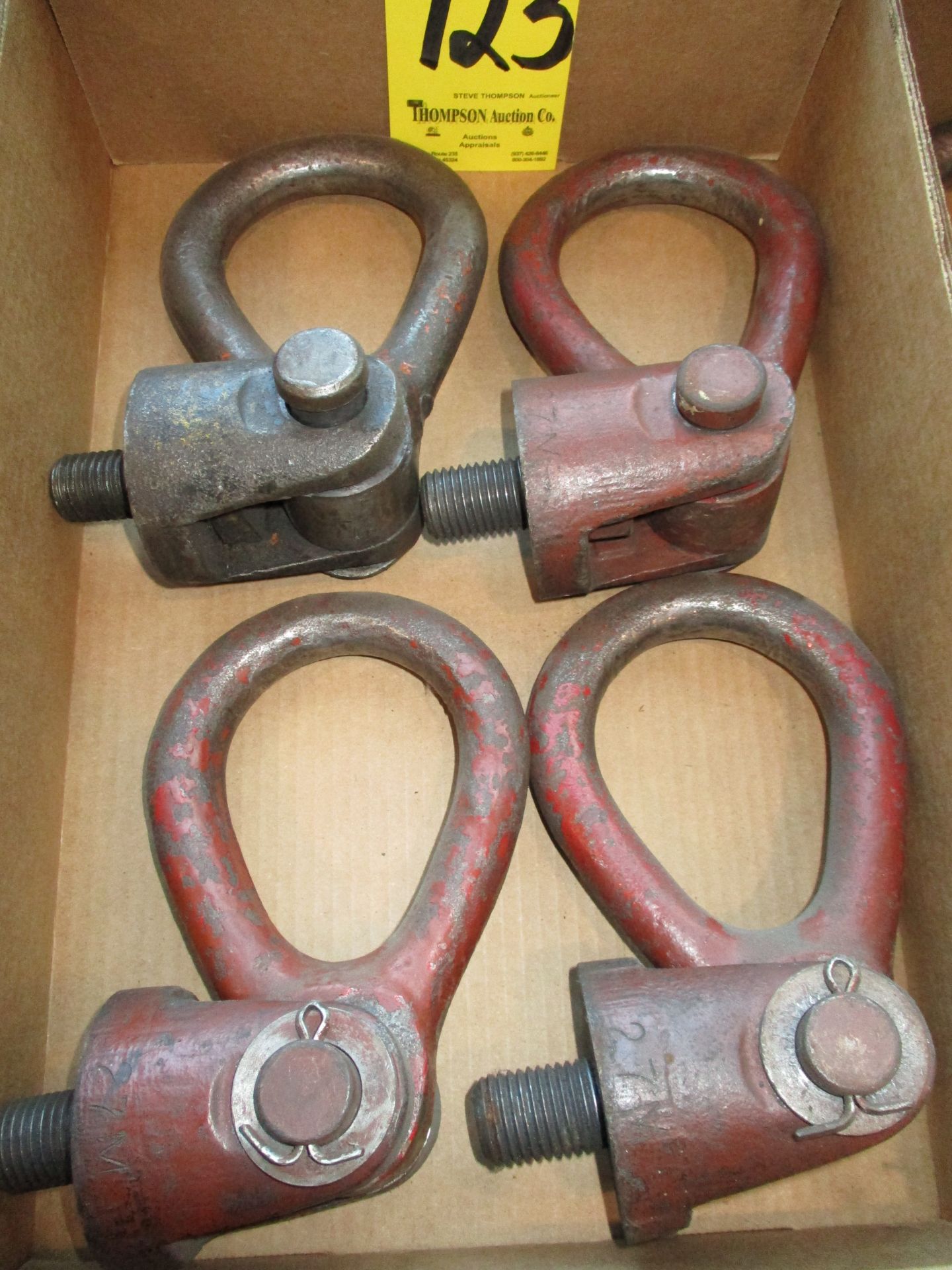 (4) Swivel Eye Bolts