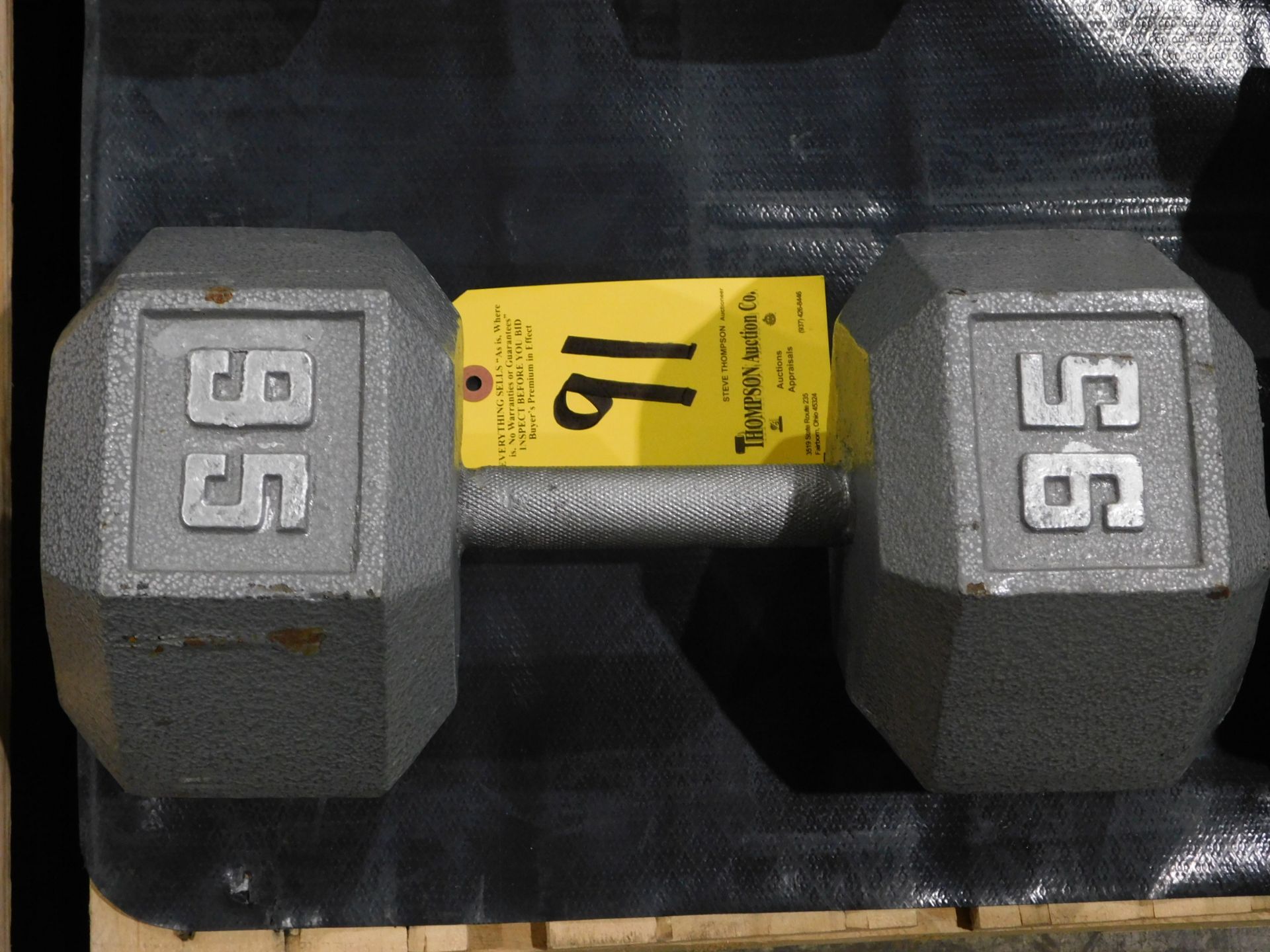 (1) Dumbbell, 95 lb.