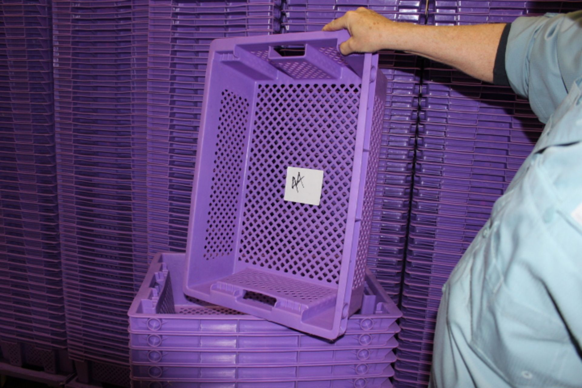 Lot of (3000) purple perforated holding trays 24" x 15" x 6.5" depth nesting trays with (170) - Image 2 of 3