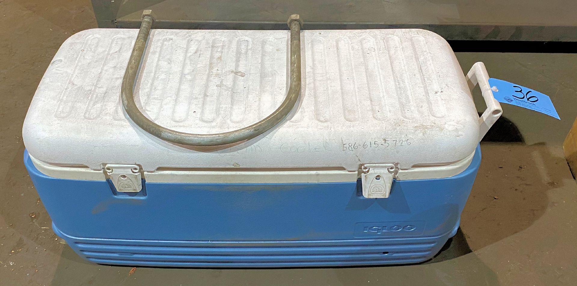 Igloo Large Picnic Cooler