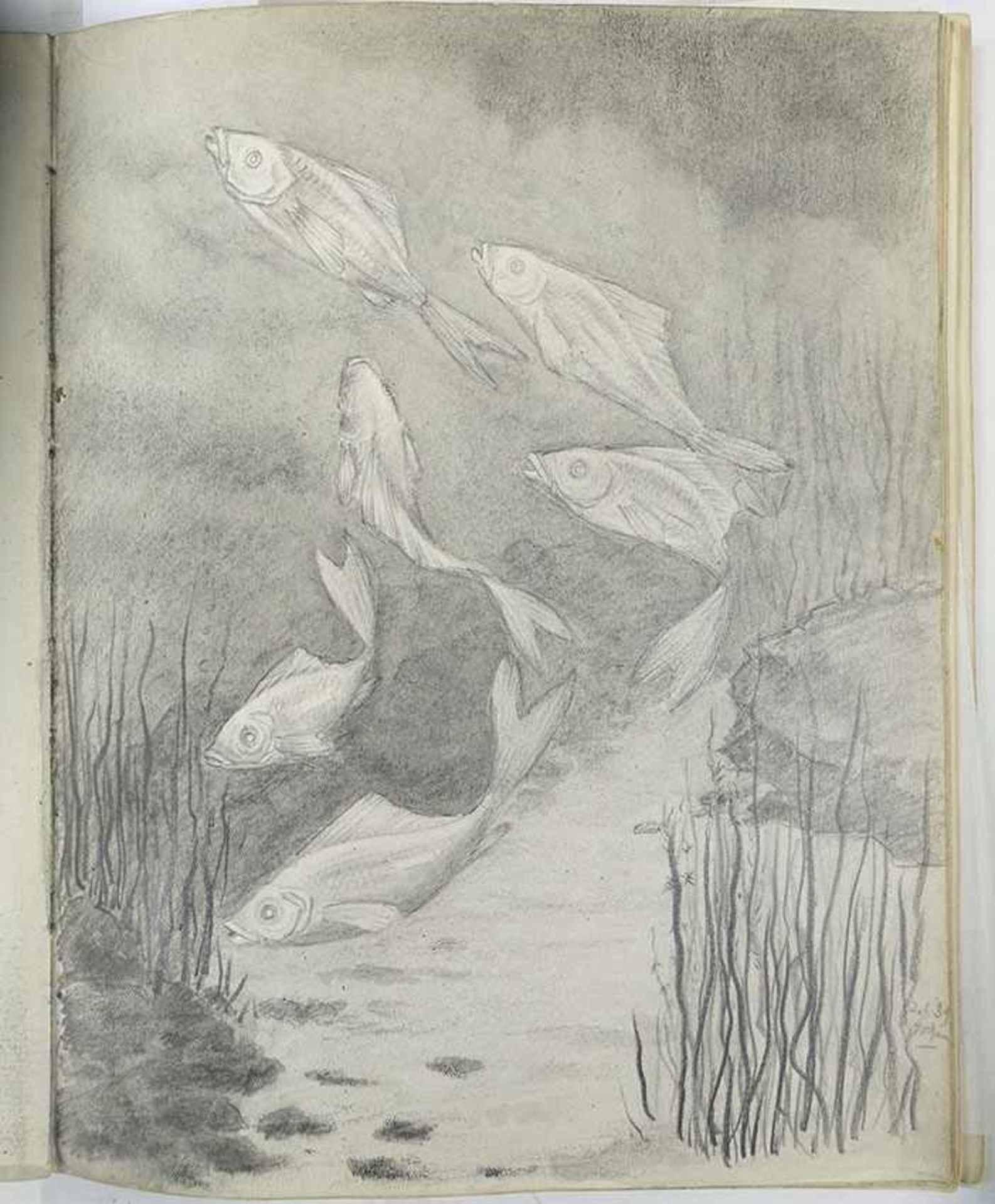RADEN MAS JODJANA (1893-1972). Sketchbook. c. 1939. W. 36 original drawings in pencil, colour pencil - Image 3 of 4