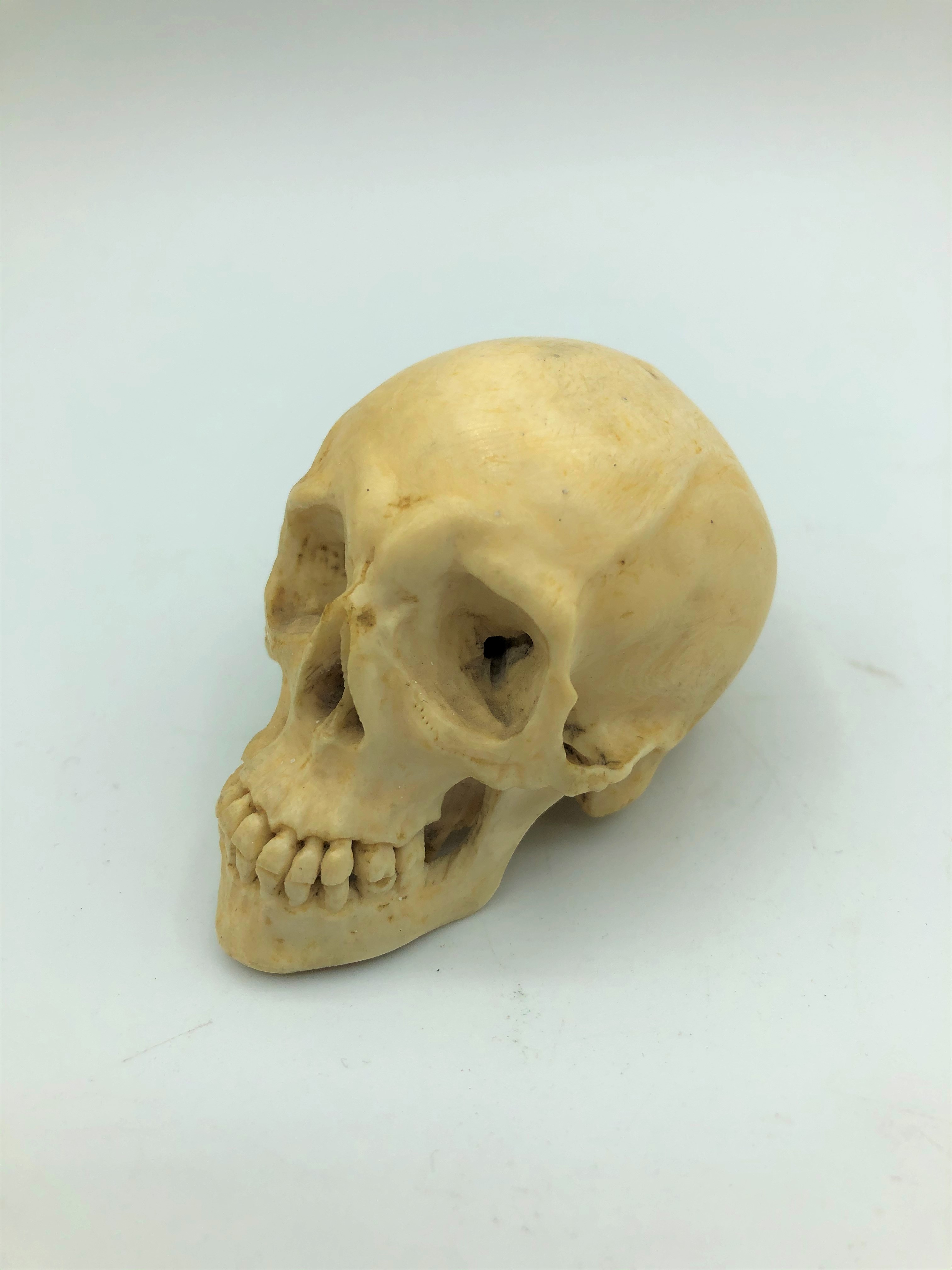 A miniature skull carved in bone circa 1900 - Image 2 of 5