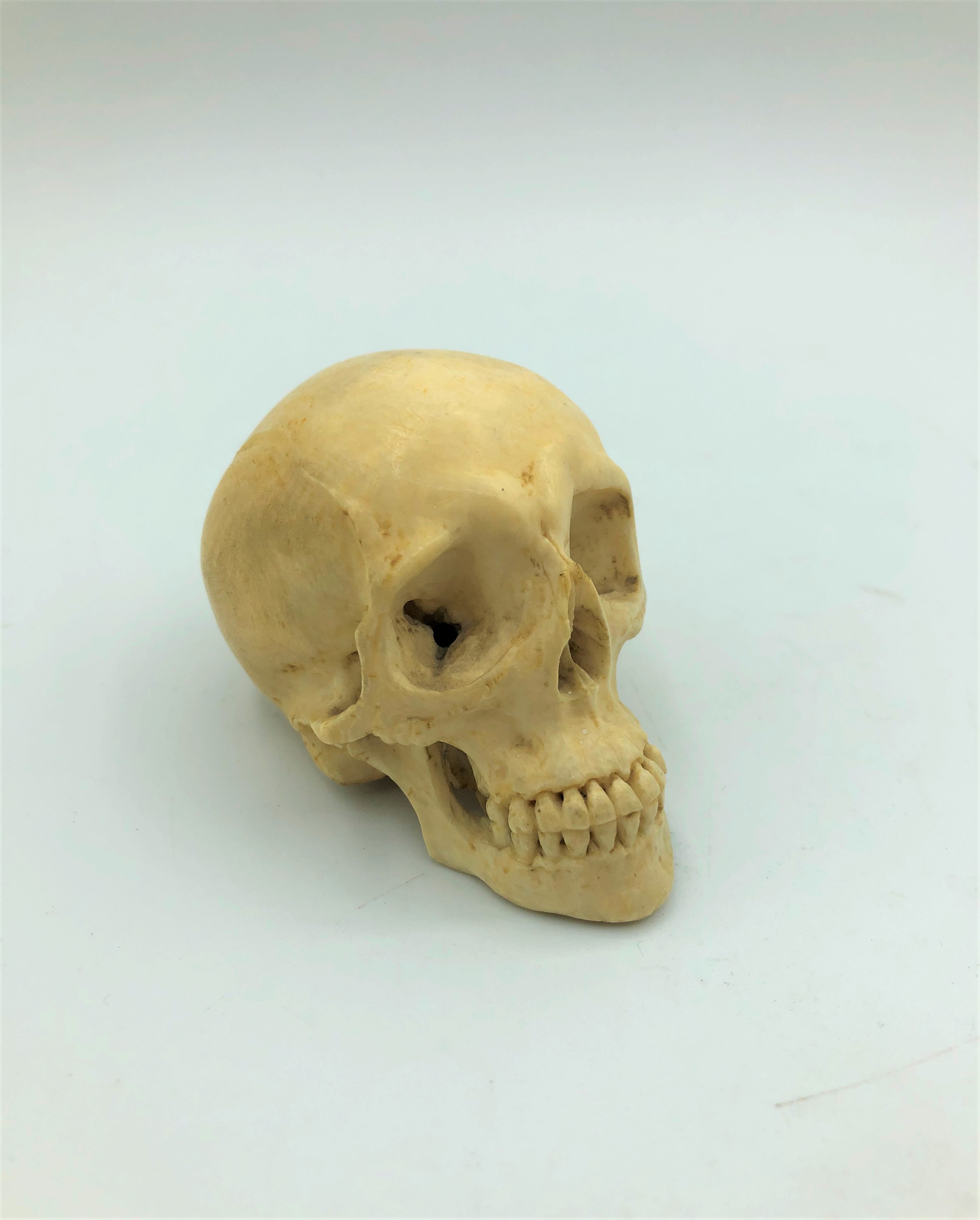 A miniature skull carved in bone circa 1900