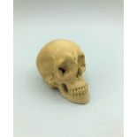 A miniature skull carved in bone circa 1900