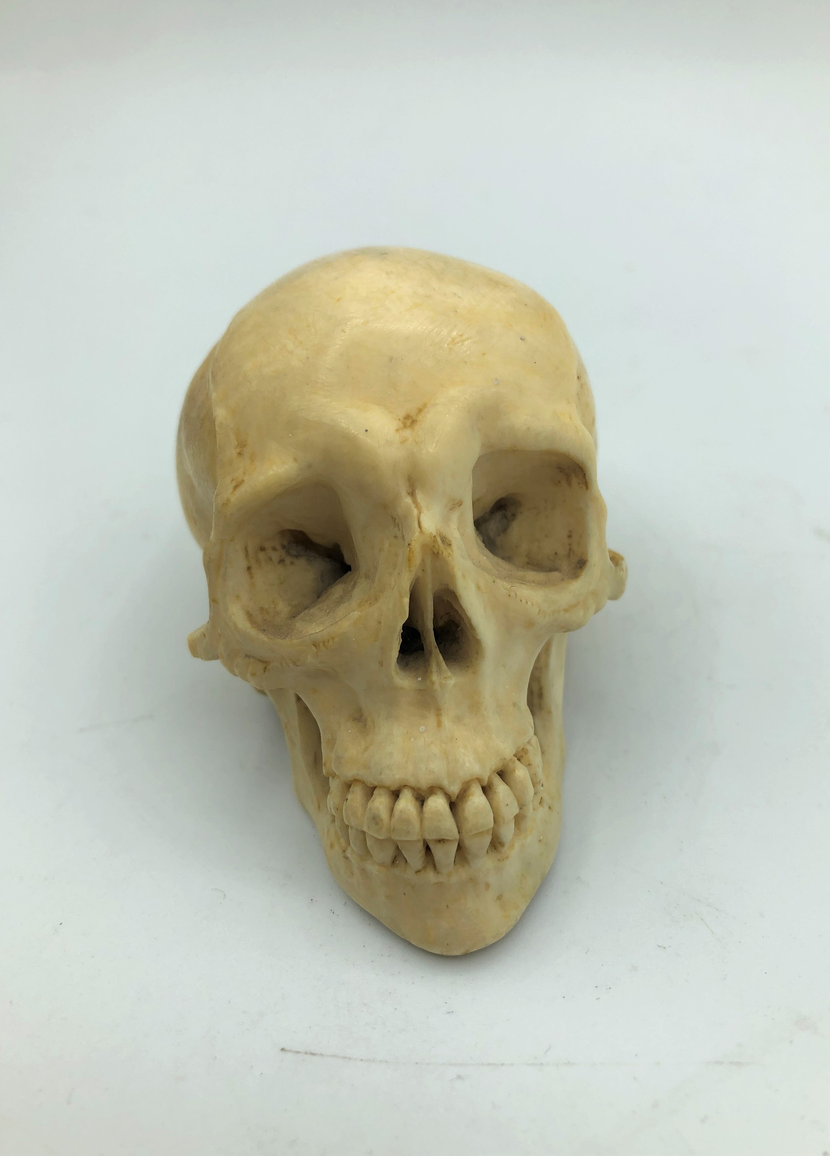 A miniature skull carved in bone circa 1900 - Image 4 of 5