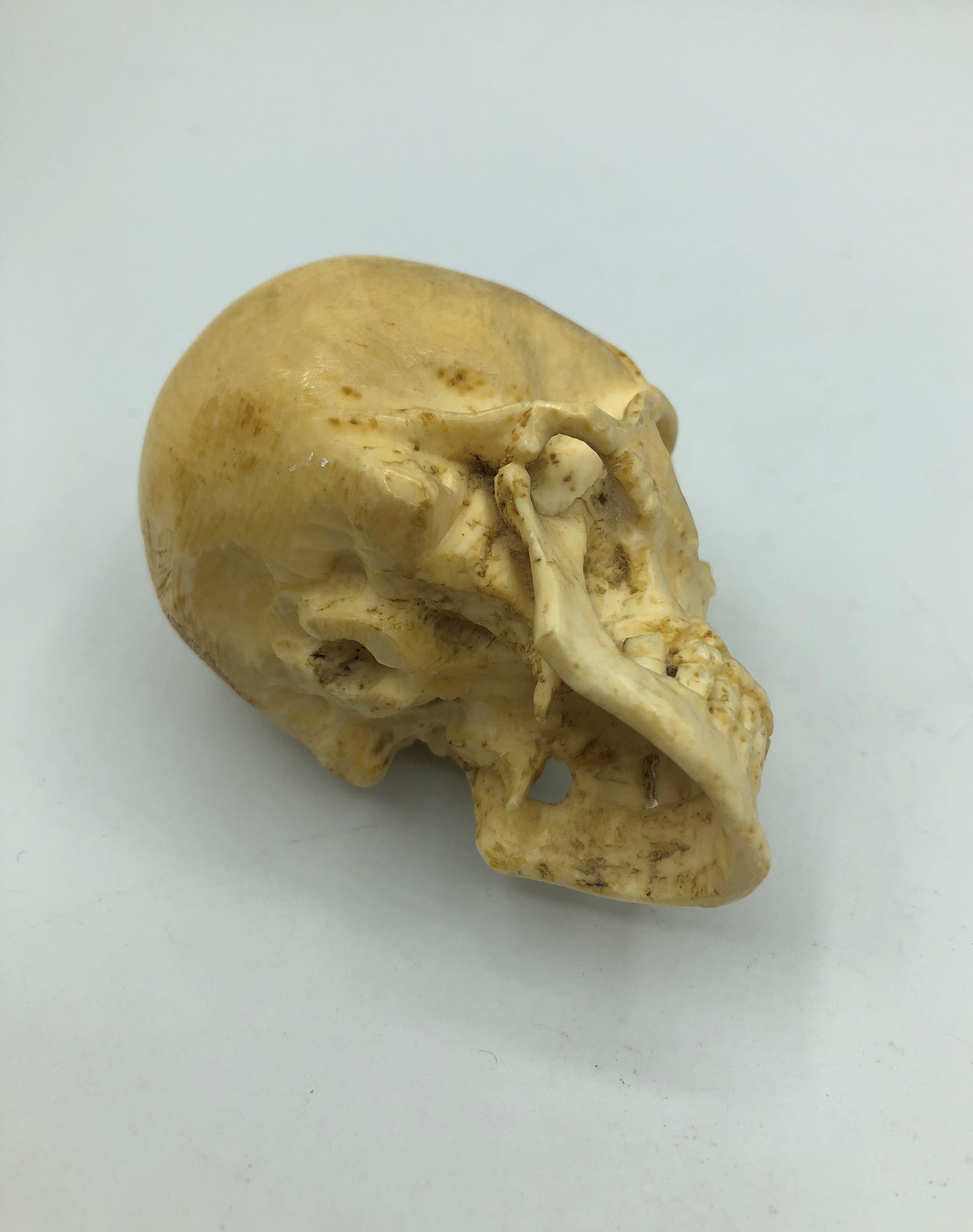 A miniature skull carved in bone circa 1900 - Image 5 of 5