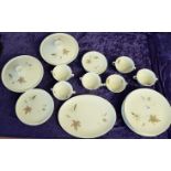 'Tumbling leaves' 37 piece Dinner Service by Royal Doulton