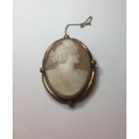 Cream colour Cameo brooch in a yellow metal mount with a gold coloured safety chain, 6 x 4.5cm