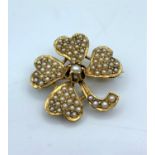 14ct yellow gold clover brooch with seed pearls