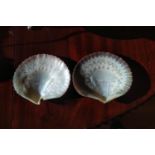 Pair Large engraved Mother of Pearl Abalone Shells plates with carved serated edges Caviar plates