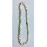 Freshwater Pearl Necklace.