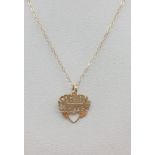 'Special Sister' Pendant on fine 9CT Gold necklace, 38cm long