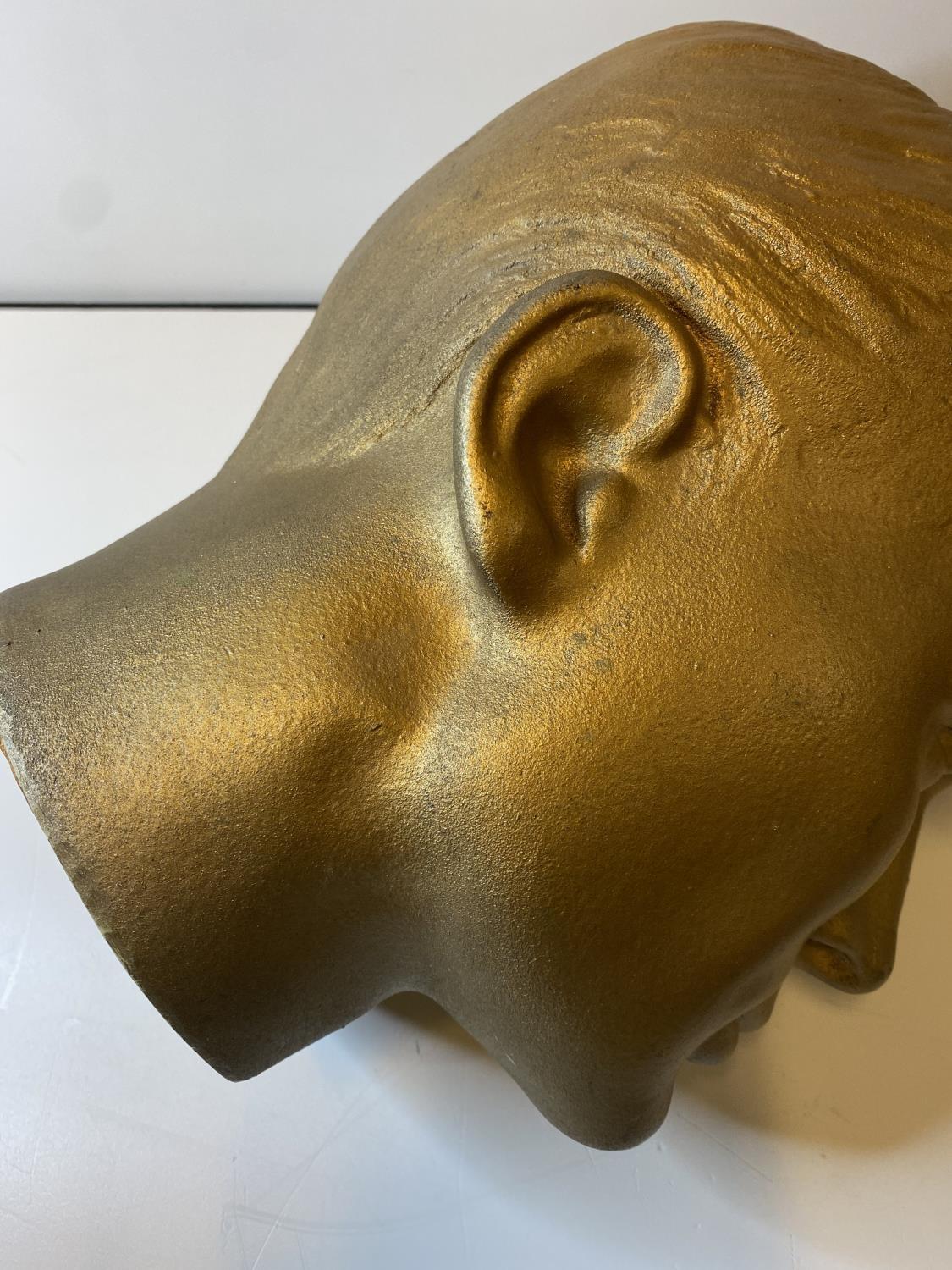 A life size Mans Head made in lightweight Plaster and finish in gold Paint, Mannequin Bust 28cm tall - Image 6 of 6