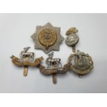 5 x British Infantry Cap Badges