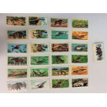 43x Prehistoric Animal Cigarette Cards from 1960's Brooke Bond Tea (43)