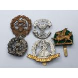 5 x British Army Territorial Cap Badges. (5)