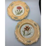 A pair of shell pierced shape plates with floral centres, some wear to gilt surround.