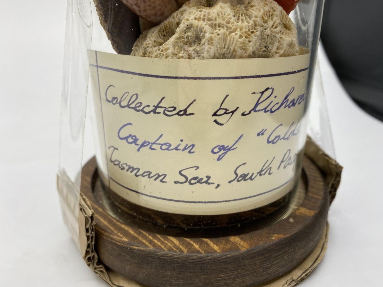 A Victorian glass dome containing corals and sea shells collected from Tasman Sea, South Pacific - Image 3 of 6