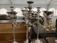 Lot of (4) candelabras, 5 light, 31 in. tall