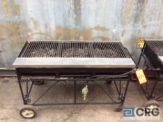 Big John 50 in. Long X 16 in. deep portable propane grill