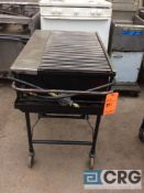 Big John 34 in. long x 16 in. deep portable propane grill