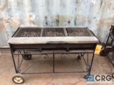 Big John 50 in. Long X 16 in. deep portable propane grill