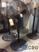 Lot of (3) pedestal fans