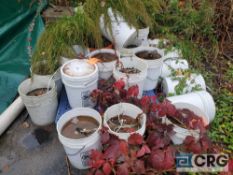 Lot of asst tent weights including (8) bell formed concrete blocks, and asst concrete buckets.