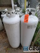 Lot of (11) 100# propane cylinders