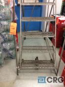Lot consists of a 9’ portable rolling stock ladder (show room storage)