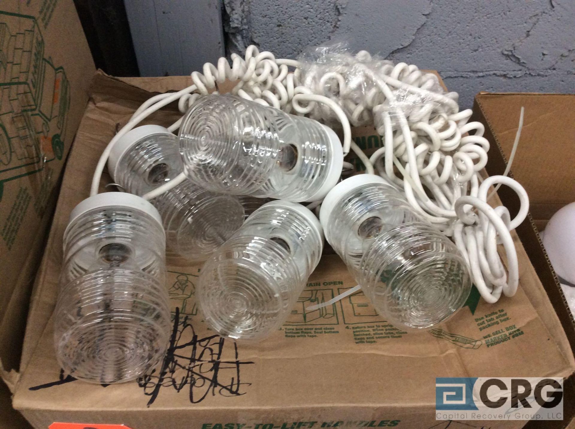 Lot of (12) 30 foot jelly jar string lights