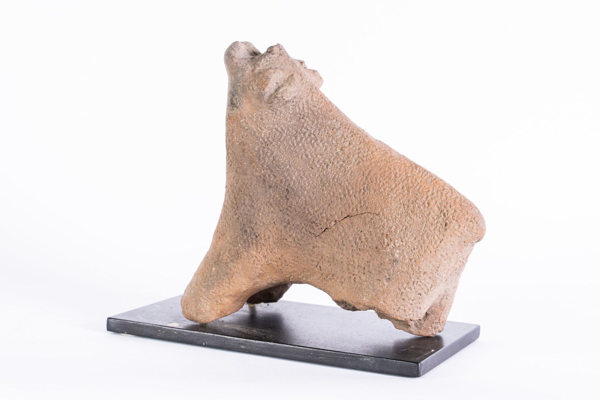 Arte africana A terracotta bull, SaoCameroon. - Bild 2 aus 2