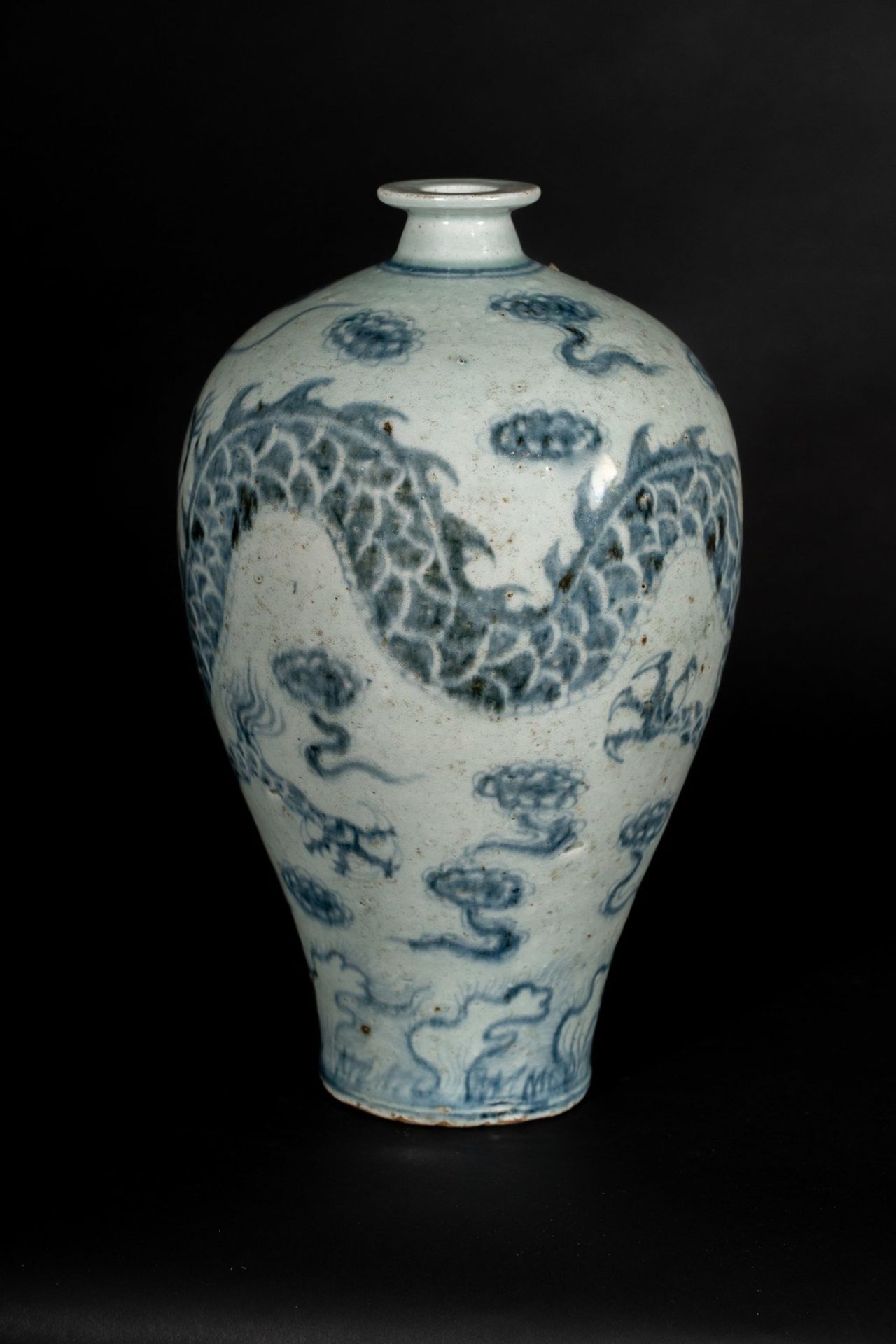 Arte Cinese A meiping vase with dragon China, Qing (?), 19th century or earlier .