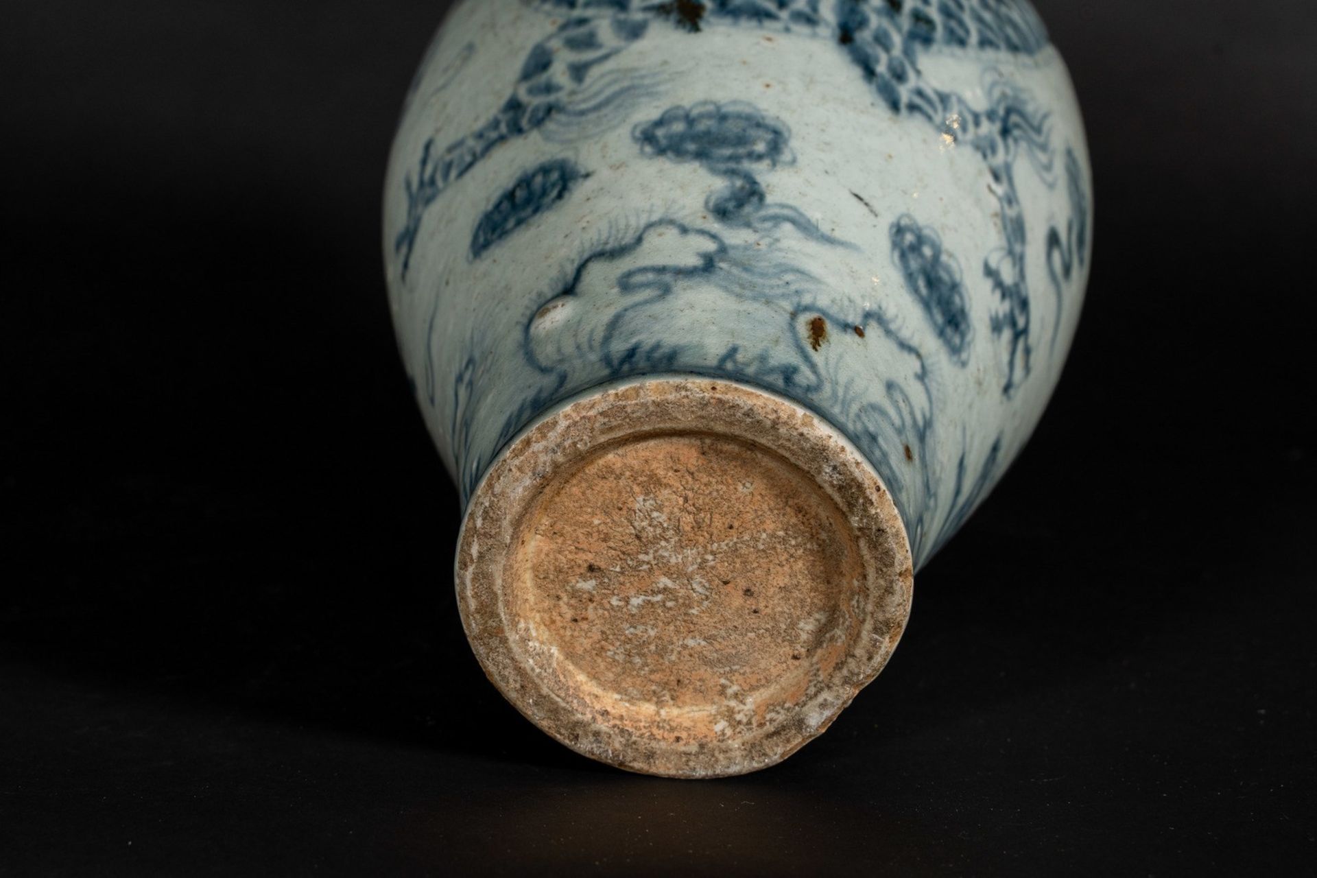 Arte Cinese A meiping vase with dragon China, Qing (?), 19th century or earlier . - Bild 4 aus 4