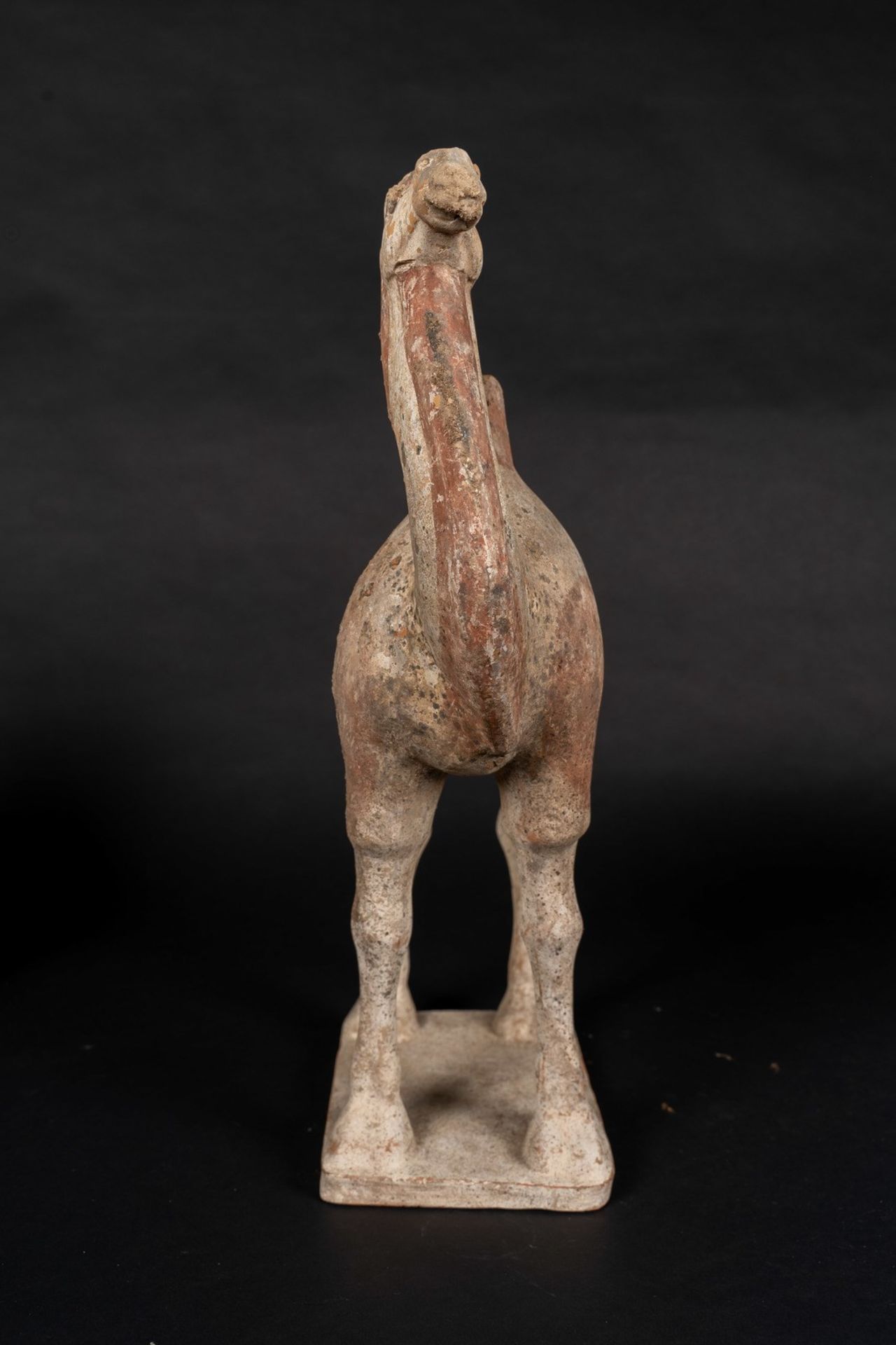 Arte Cinese An earthenware Bactrian camel China, Tang dynasty, 9th century. - Image 3 of 3
