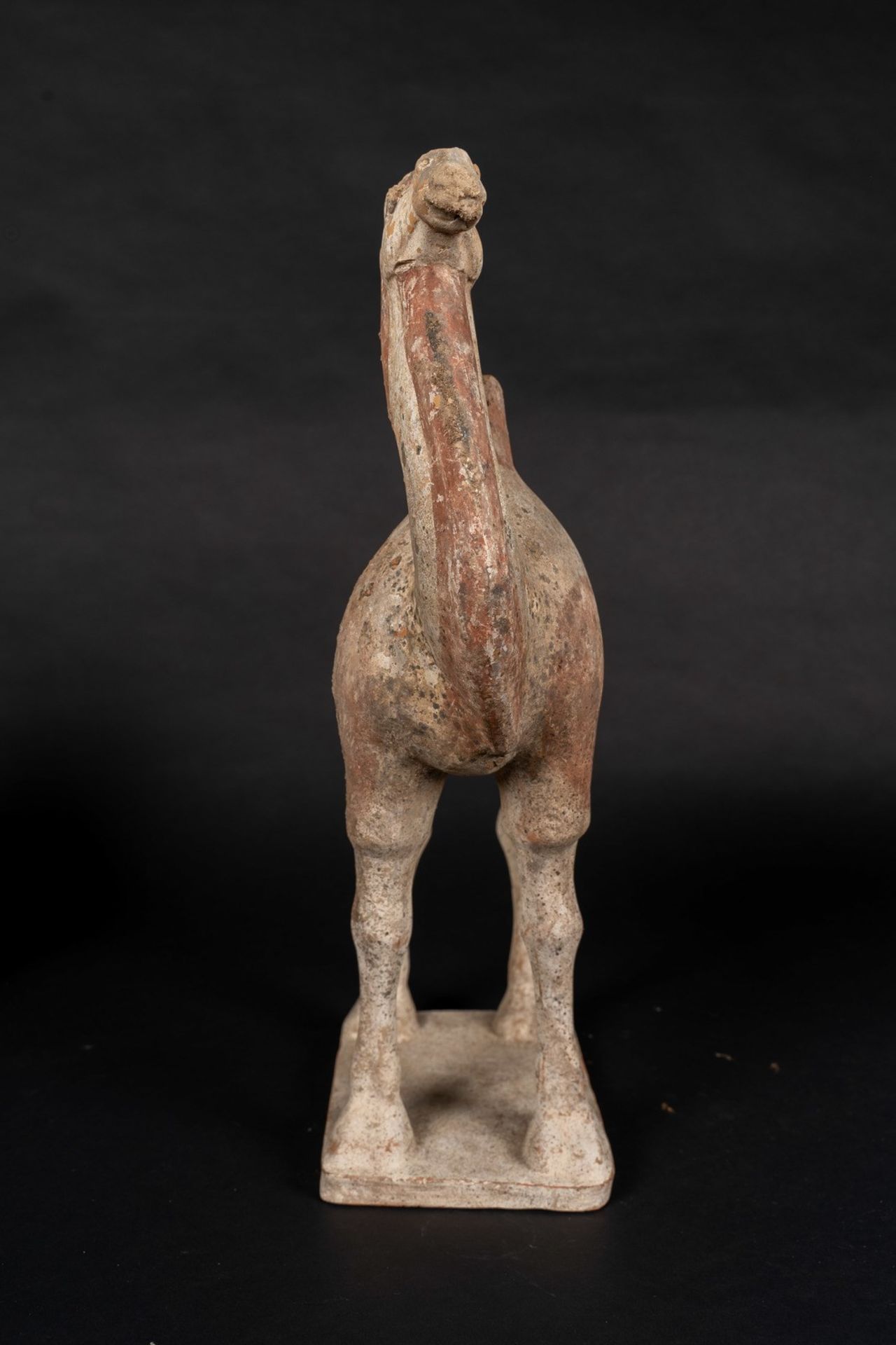 Arte Cinese An earthenware Bactrian camel China, Tang dynasty, 9th century. - Bild 3 aus 3